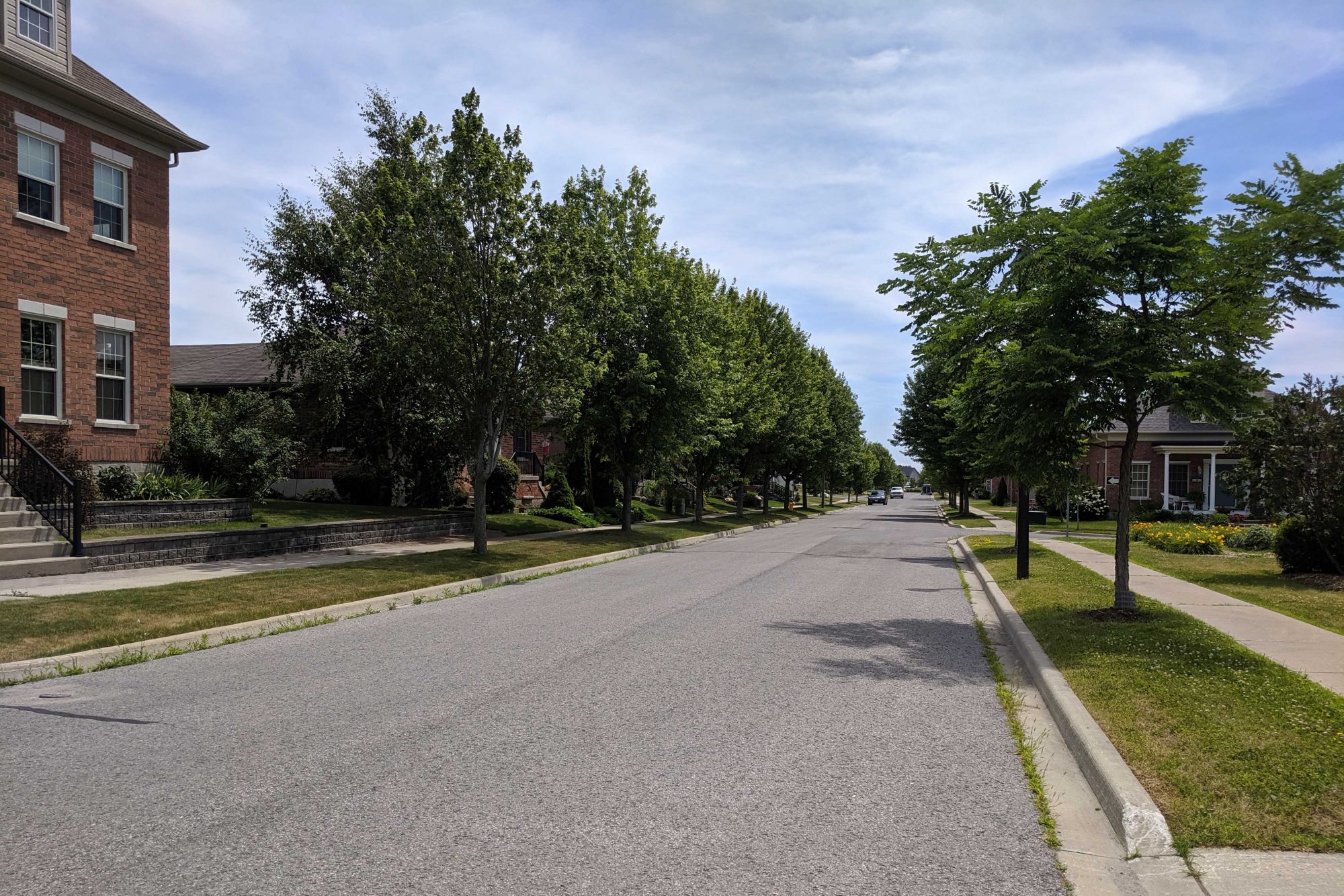 A streetscape with houses and trees in the New Amherst Community.