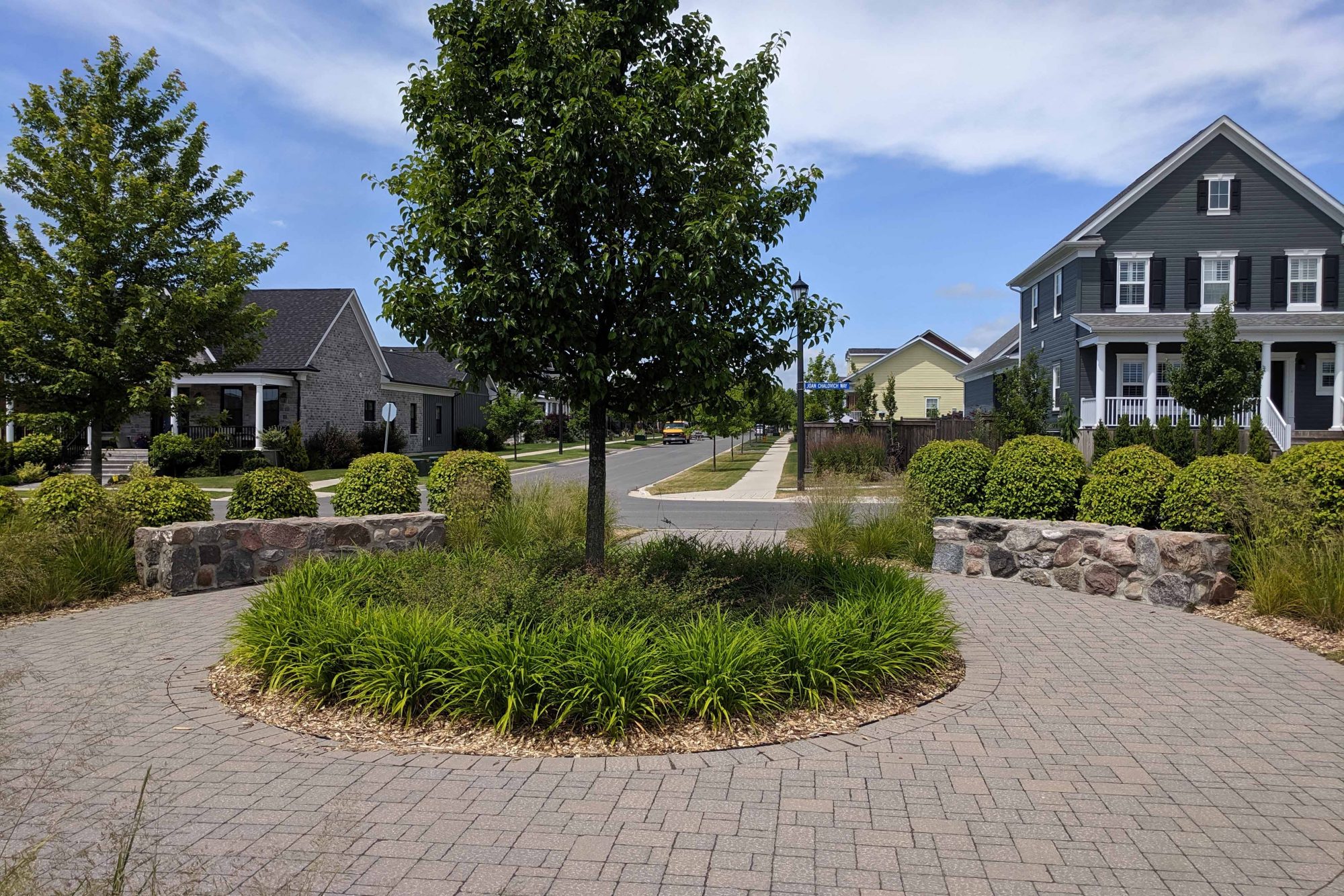 Circular paved path with a tree and shrubs in the centre and across from a housing subdivision.