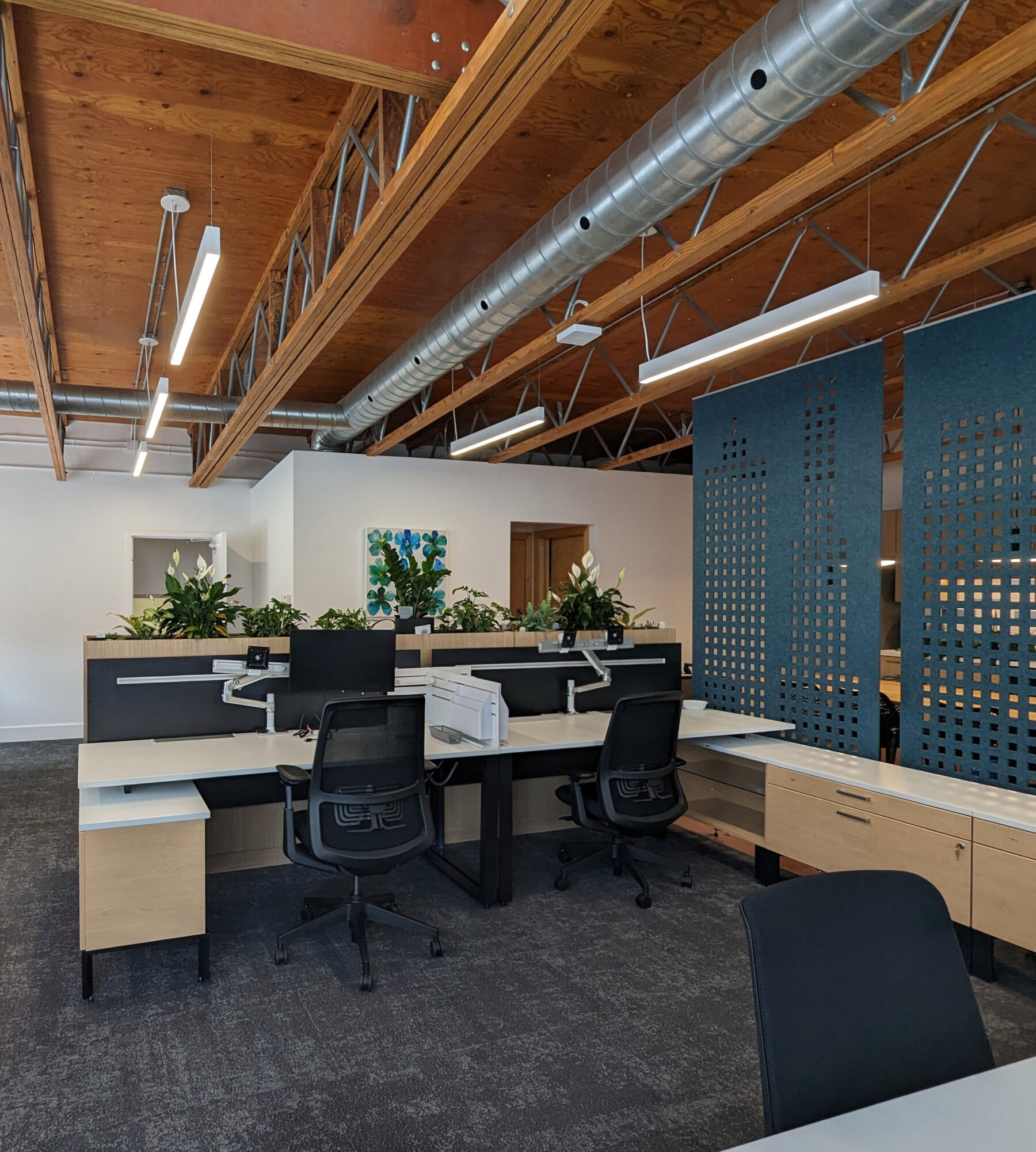 Photo of desks, planters and blue felt screens in GSP Group's Hamilton office.